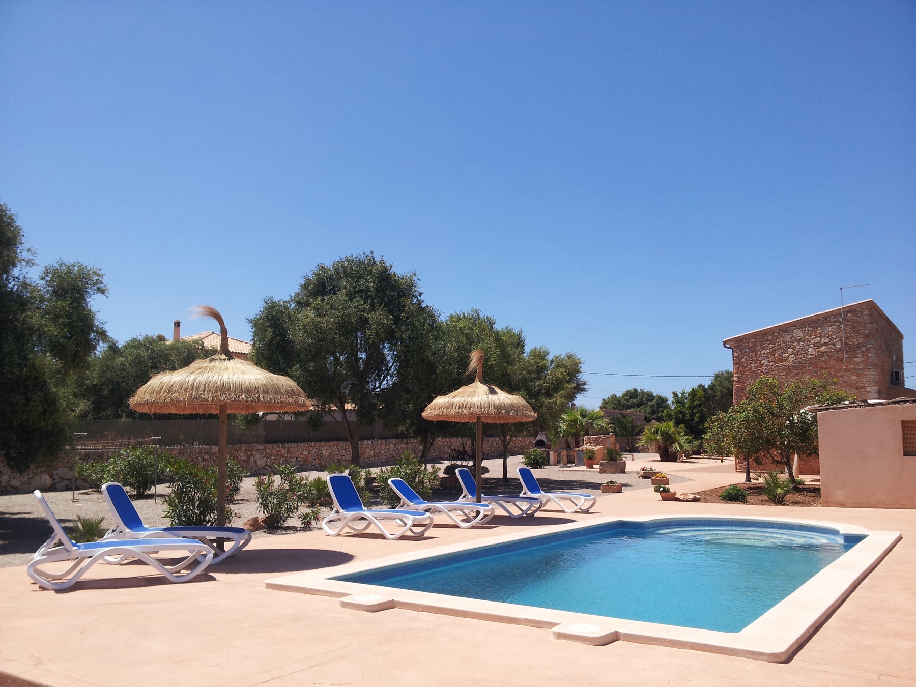 The pool with two thatched parasols and blue loungers, the flat farmland and a low stone tower behind