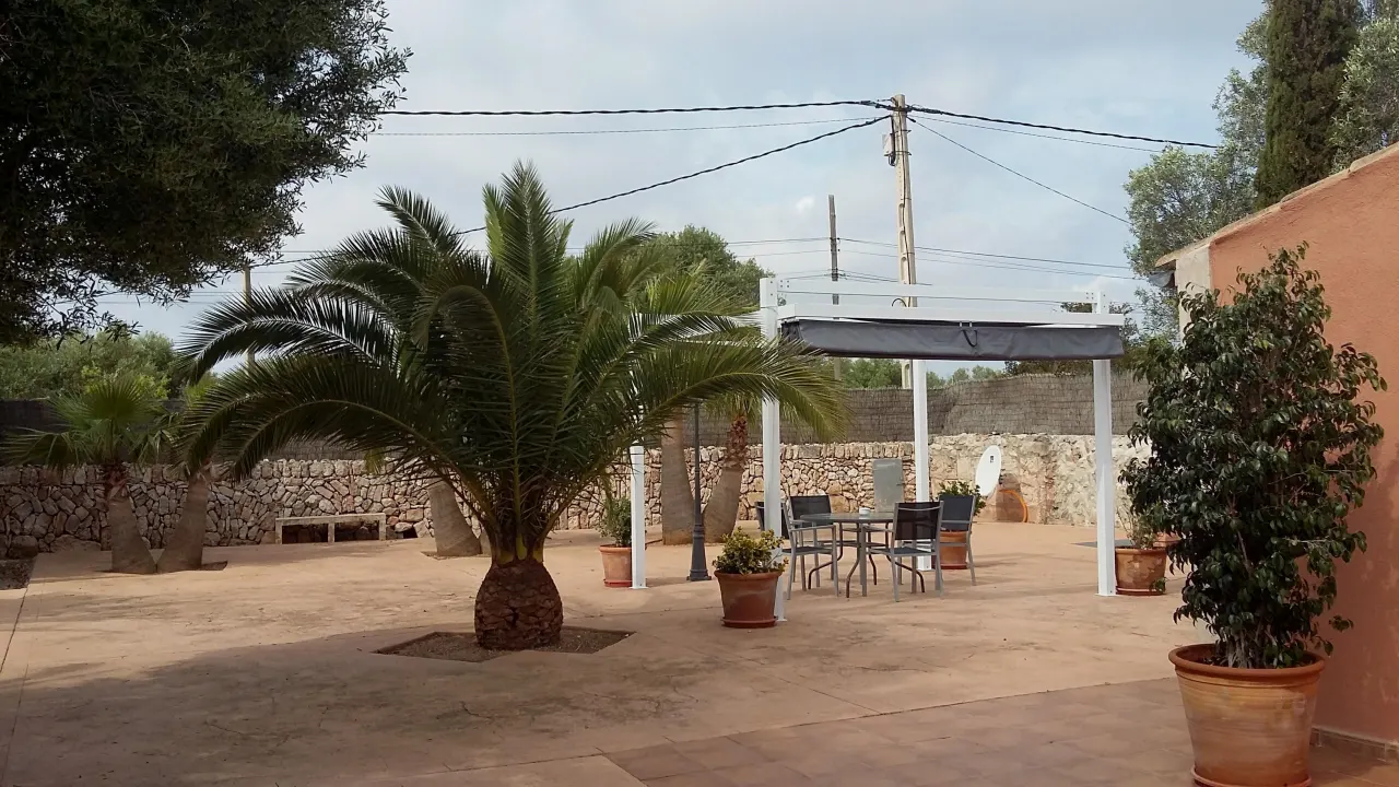 The gravel courtyard with a large cycad palm and the pergola beyond