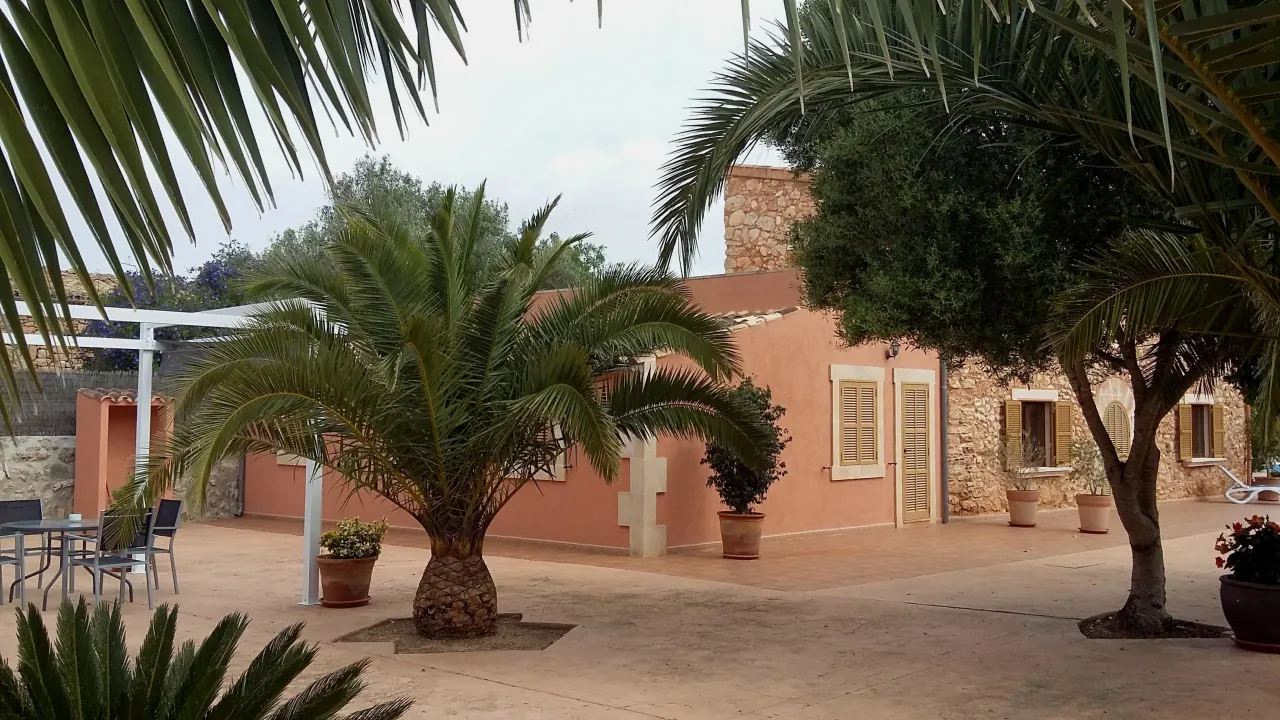 The finca's terracotta facade seen between two cycad palms