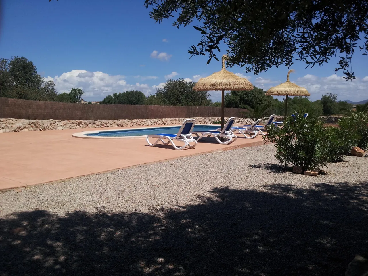 The pool viewed across the gravel garden, stone troughs of flowers in the foreground