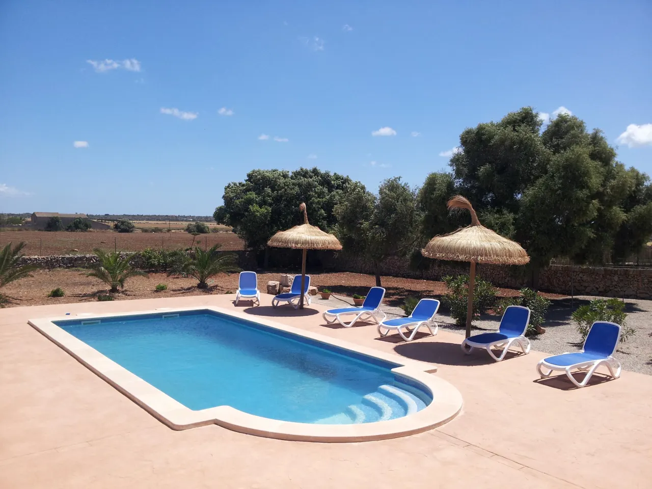 The pool and thatched parasols with the dead-flat farmland of the south of Mallorca running to a low horizon